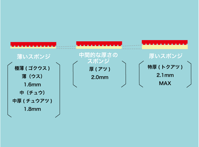 用具選び知識 ラバーの厚みによって何が違うの それぞれの違いと特徴を紹介 卓球用品の専門レビューサイト たくつうpress